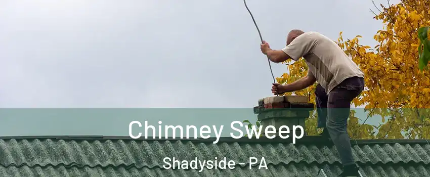 Chimney Sweep Shadyside - PA