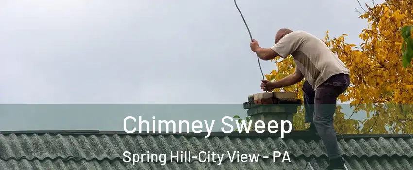 Chimney Sweep Spring Hill-City View - PA