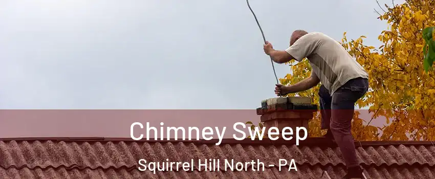Chimney Sweep Squirrel Hill North - PA