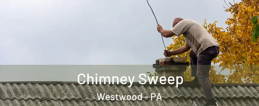 Chimney Sweep Westwood - PA