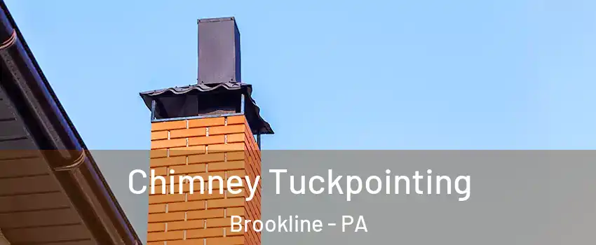 Chimney Tuckpointing Brookline - PA