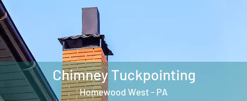 Chimney Tuckpointing Homewood West - PA