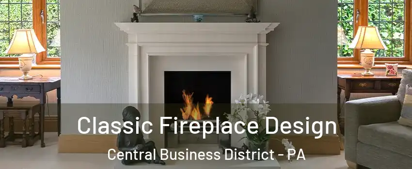 Classic Fireplace Design Central Business District - PA