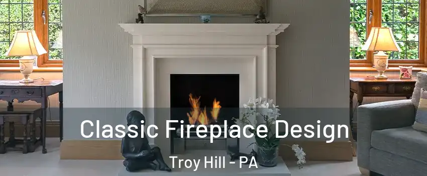 Classic Fireplace Design Troy Hill - PA