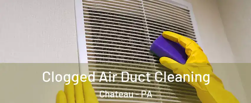 Clogged Air Duct Cleaning Chateau - PA