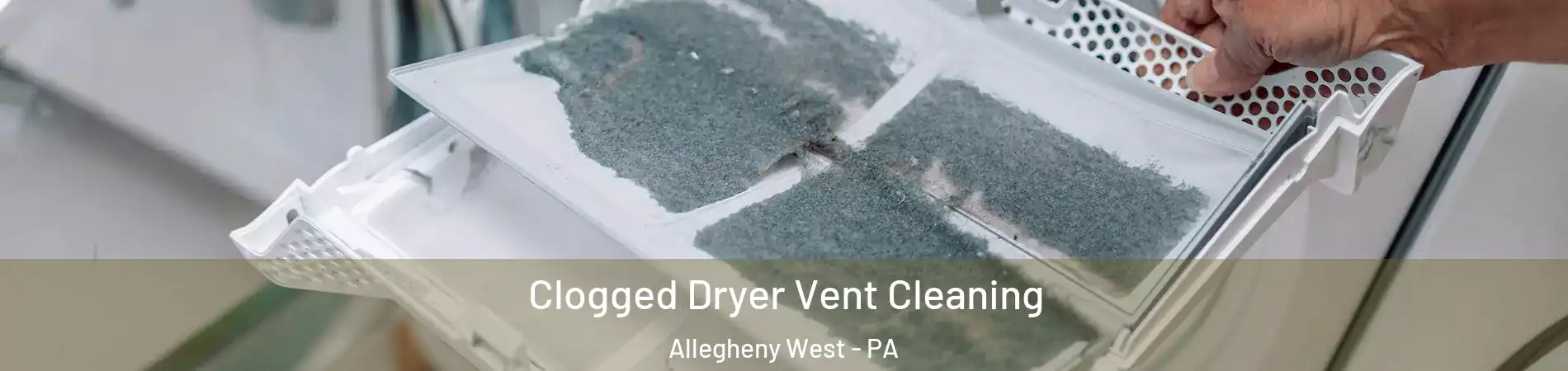 Clogged Dryer Vent Cleaning Allegheny West - PA