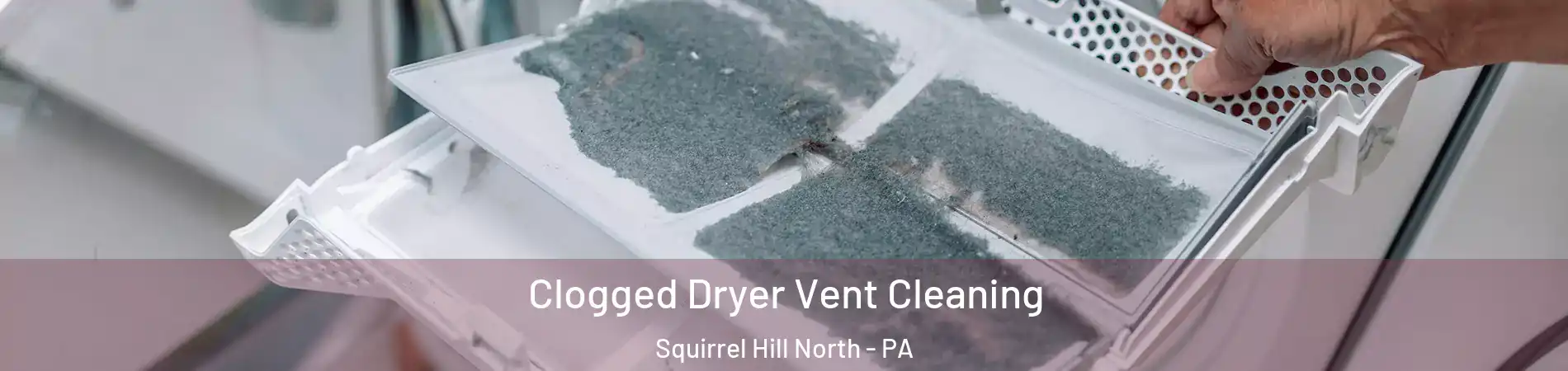 Clogged Dryer Vent Cleaning Squirrel Hill North - PA