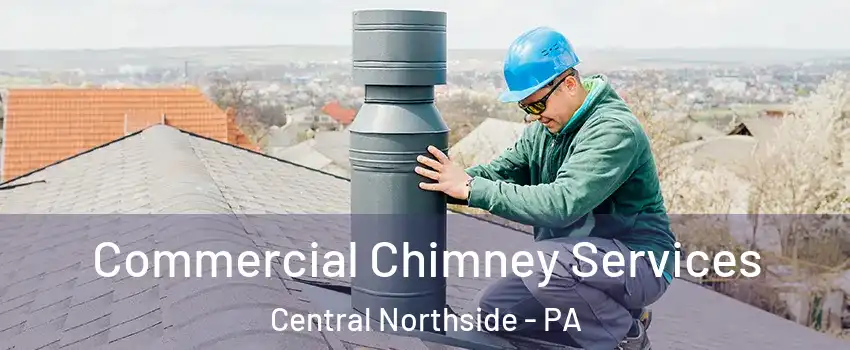 Commercial Chimney Services Central Northside - PA