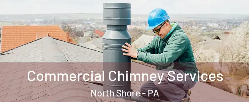 Commercial Chimney Services North Shore - PA