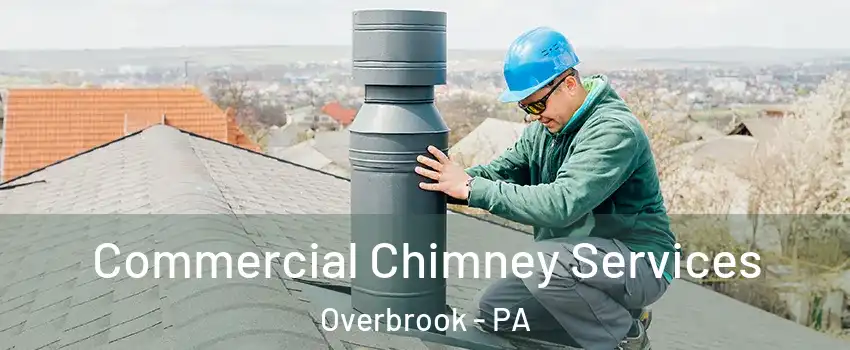 Commercial Chimney Services Overbrook - PA