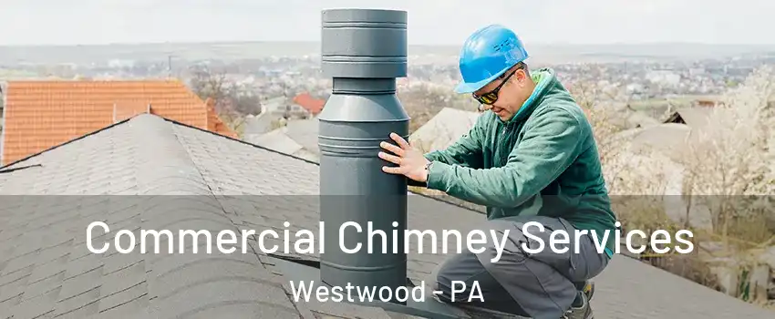 Commercial Chimney Services Westwood - PA