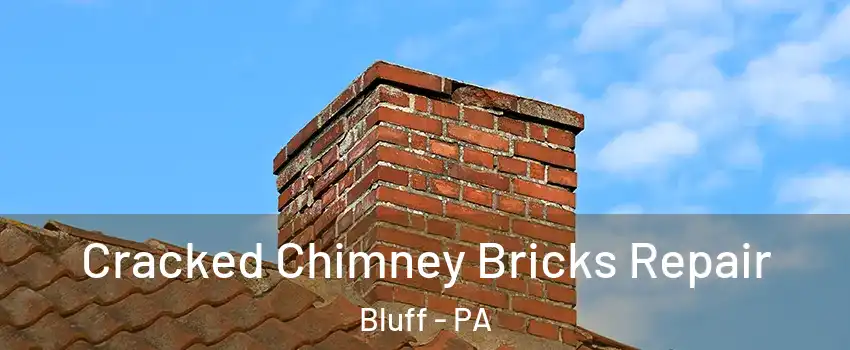 Cracked Chimney Bricks Repair Bluff - PA