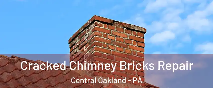 Cracked Chimney Bricks Repair Central Oakland - PA