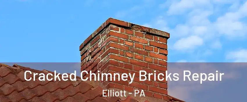 Cracked Chimney Bricks Repair Elliott - PA