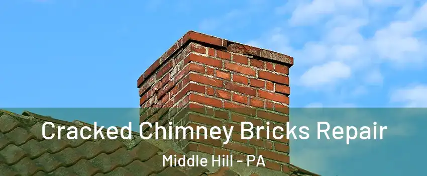 Cracked Chimney Bricks Repair Middle Hill - PA