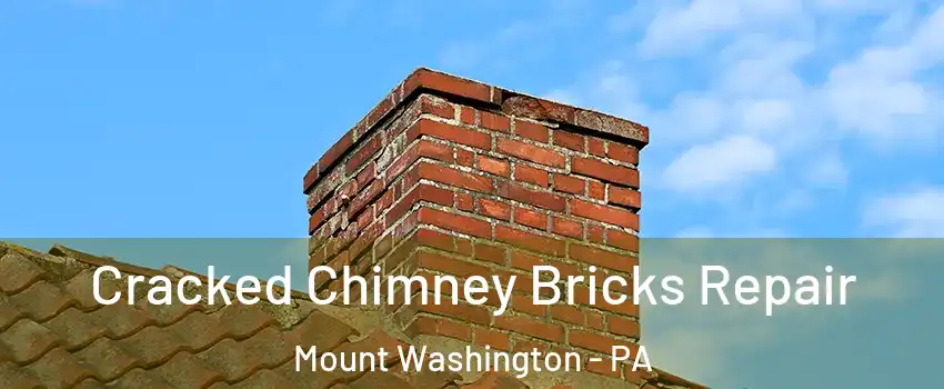 Cracked Chimney Bricks Repair Mount Washington - PA