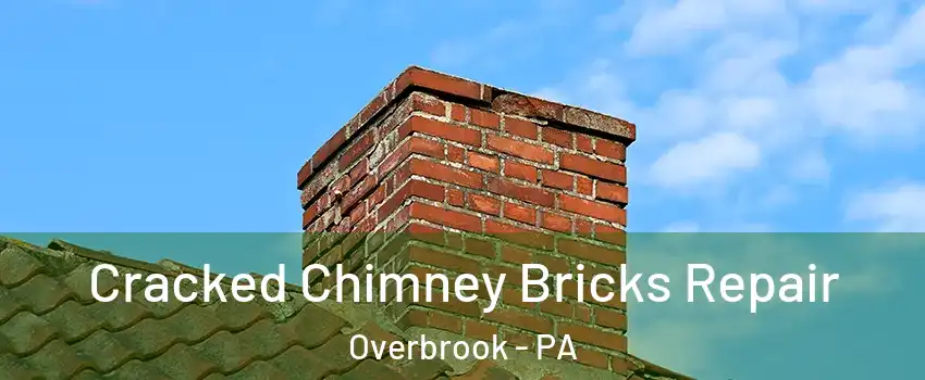 Cracked Chimney Bricks Repair Overbrook - PA