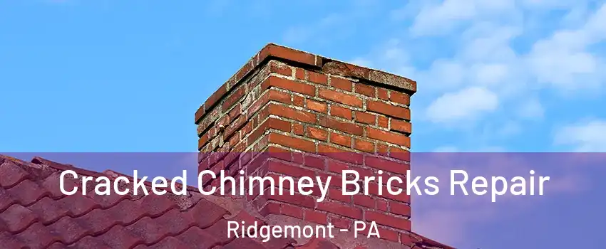 Cracked Chimney Bricks Repair Ridgemont - PA