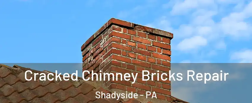 Cracked Chimney Bricks Repair Shadyside - PA