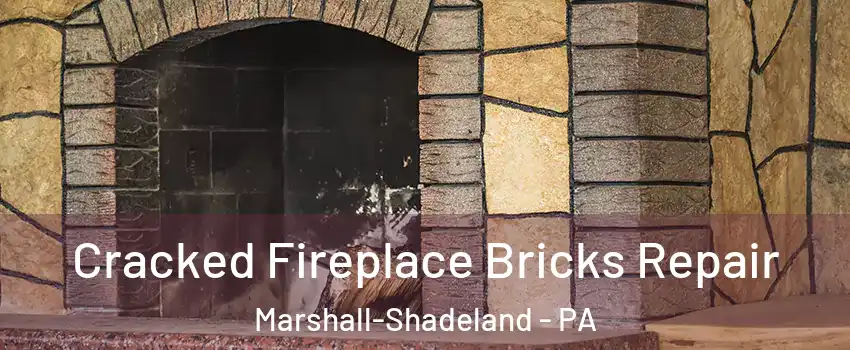 Cracked Fireplace Bricks Repair Marshall-Shadeland - PA