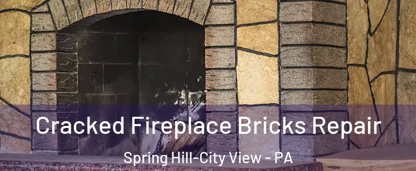 Cracked Fireplace Bricks Repair Spring Hill-City View - PA