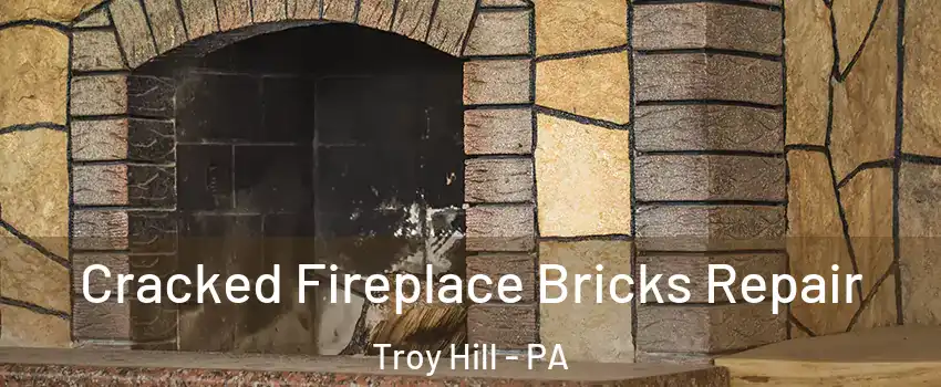 Cracked Fireplace Bricks Repair Troy Hill - PA