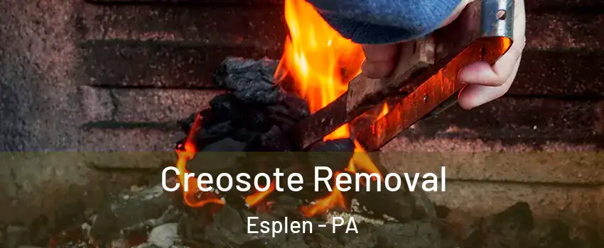 Creosote Removal Esplen - PA