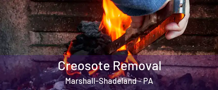Creosote Removal Marshall-Shadeland - PA