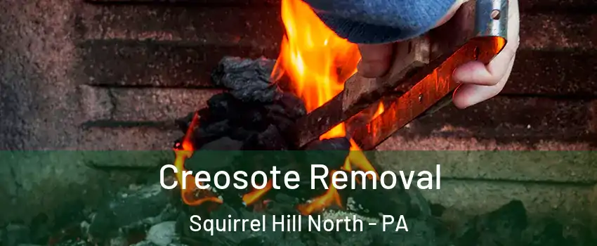 Creosote Removal Squirrel Hill North - PA