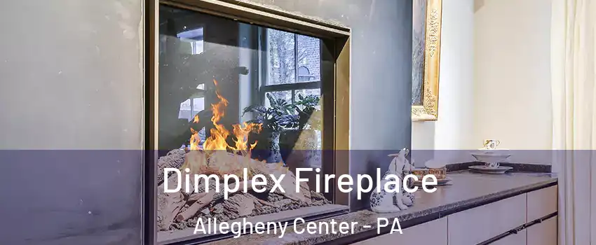 Dimplex Fireplace Allegheny Center - PA