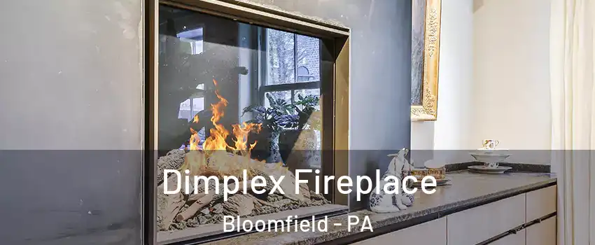 Dimplex Fireplace Bloomfield - PA