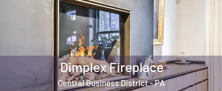 Dimplex Fireplace Central Business District - PA