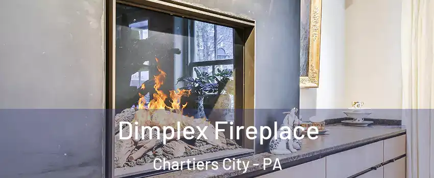 Dimplex Fireplace Chartiers City - PA