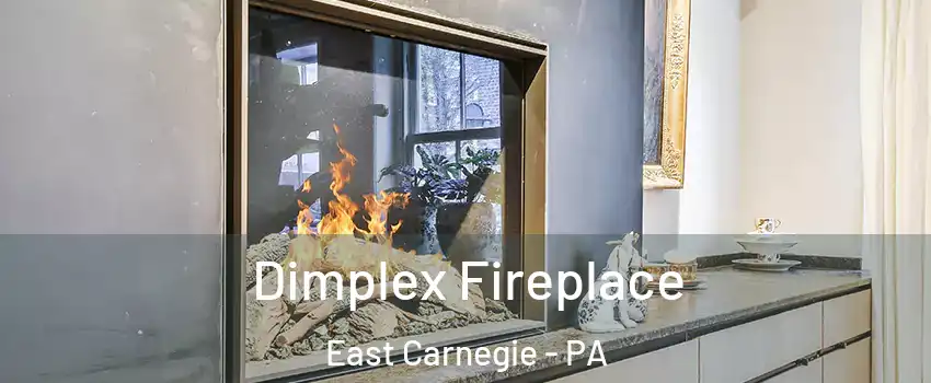 Dimplex Fireplace East Carnegie - PA