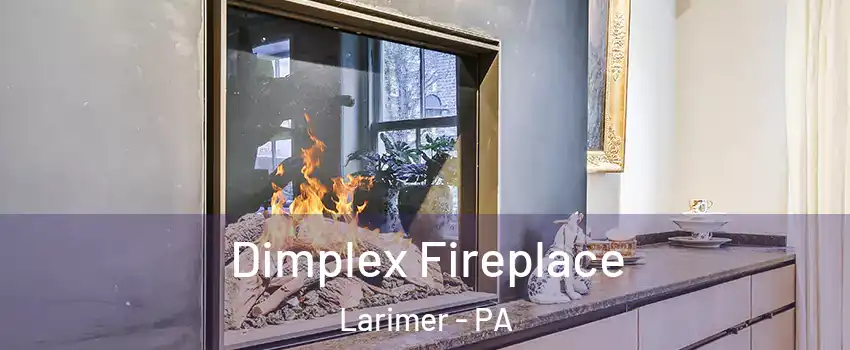 Dimplex Fireplace Larimer - PA