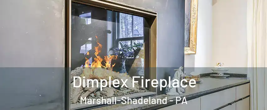 Dimplex Fireplace Marshall-Shadeland - PA