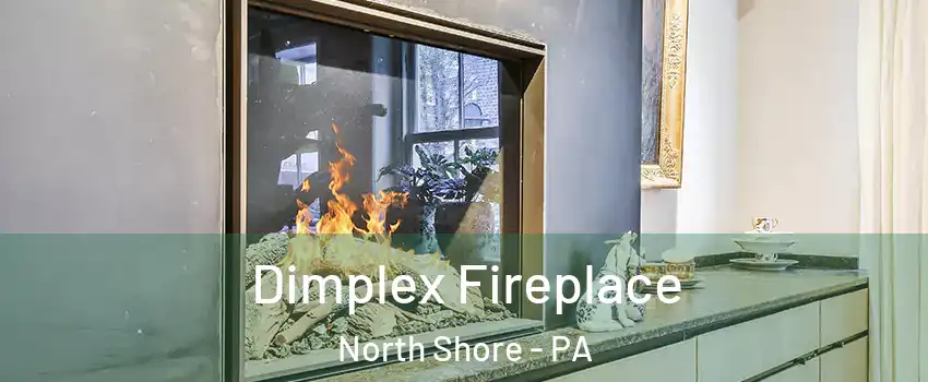 Dimplex Fireplace North Shore - PA