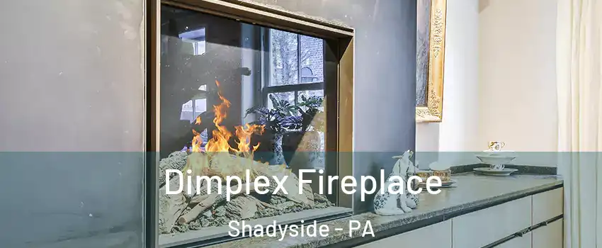 Dimplex Fireplace Shadyside - PA