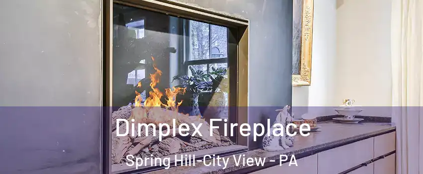 Dimplex Fireplace Spring Hill-City View - PA