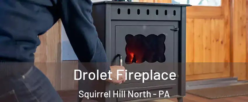 Drolet Fireplace Squirrel Hill North - PA