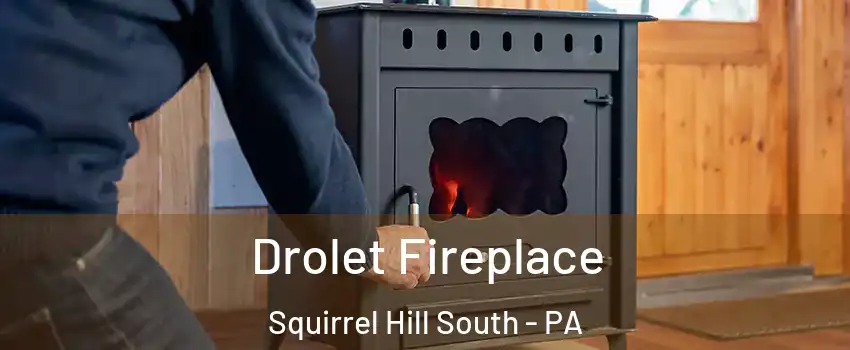 Drolet Fireplace Squirrel Hill South - PA