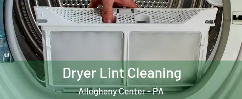 Dryer Lint Cleaning Allegheny Center - PA