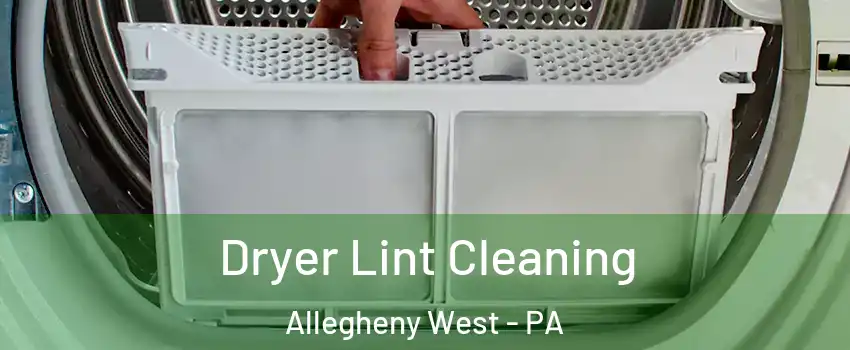 Dryer Lint Cleaning Allegheny West - PA