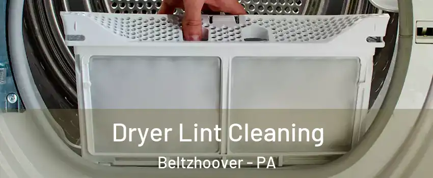 Dryer Lint Cleaning Beltzhoover - PA