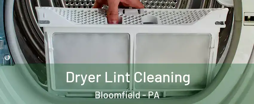Dryer Lint Cleaning Bloomfield - PA