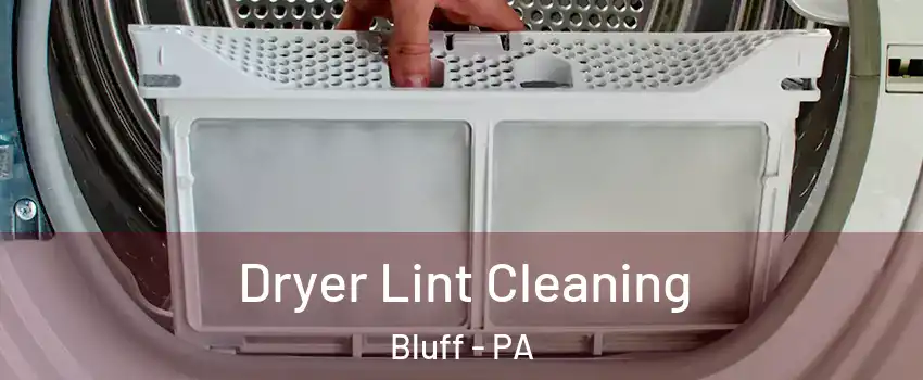 Dryer Lint Cleaning Bluff - PA