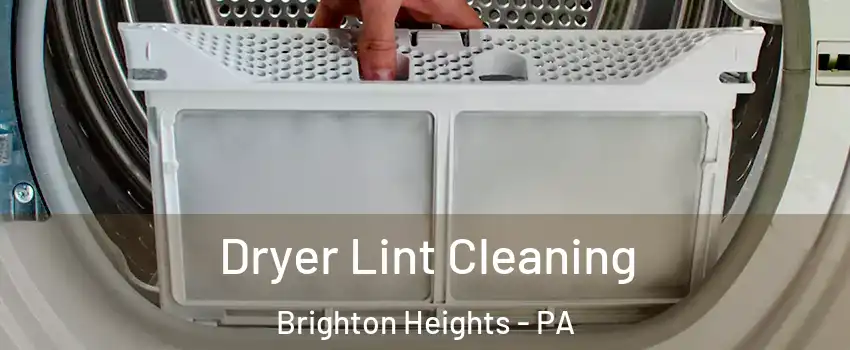 Dryer Lint Cleaning Brighton Heights - PA