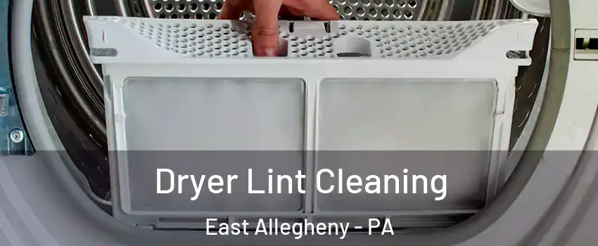 Dryer Lint Cleaning East Allegheny - PA