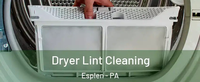 Dryer Lint Cleaning Esplen - PA