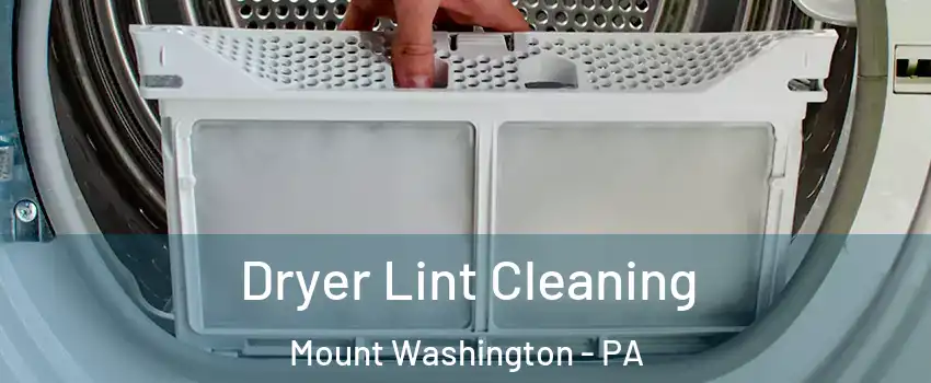 Dryer Lint Cleaning Mount Washington - PA